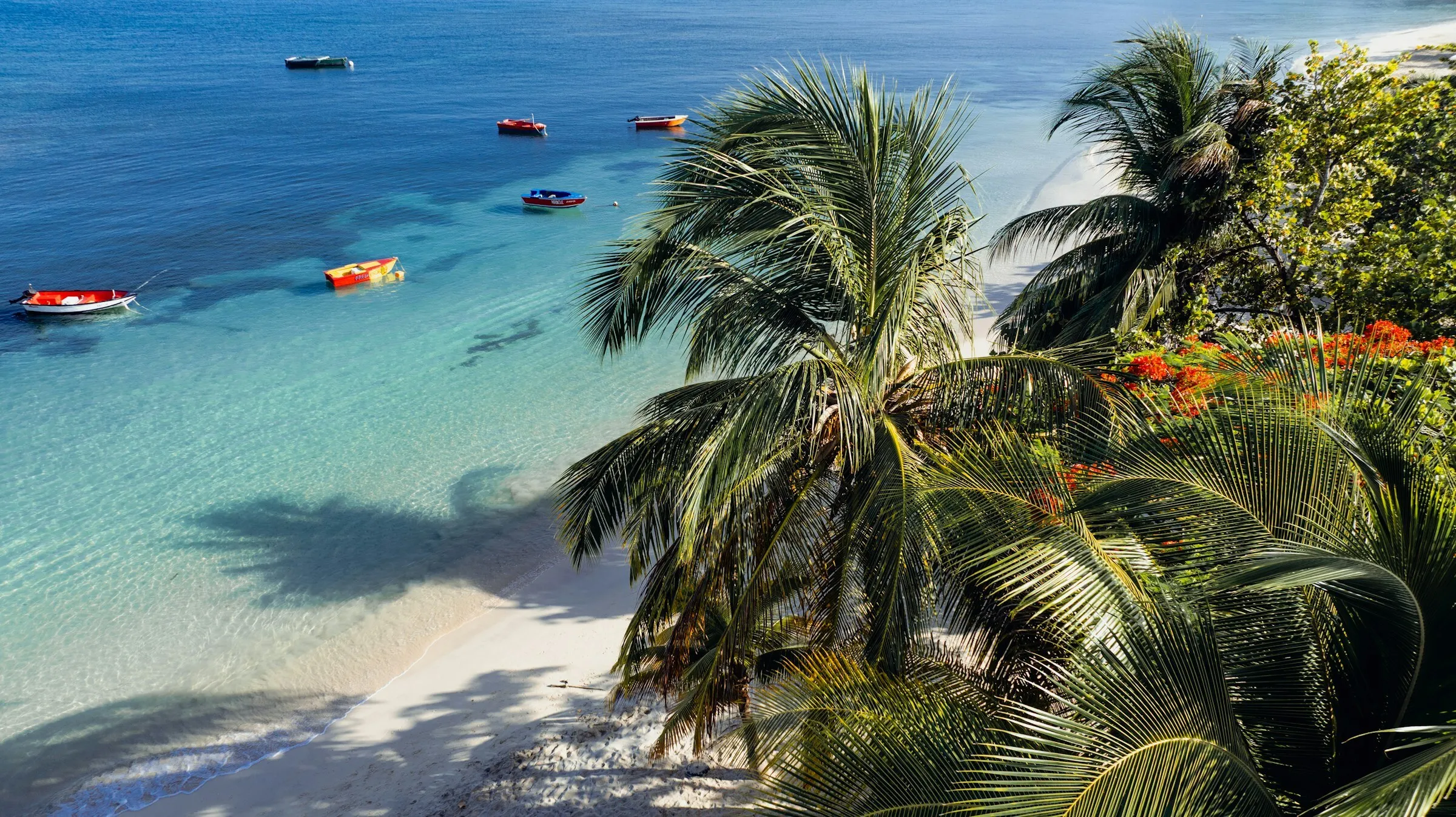 Palm trees and small boats along Grand Anse Beach in Grenada